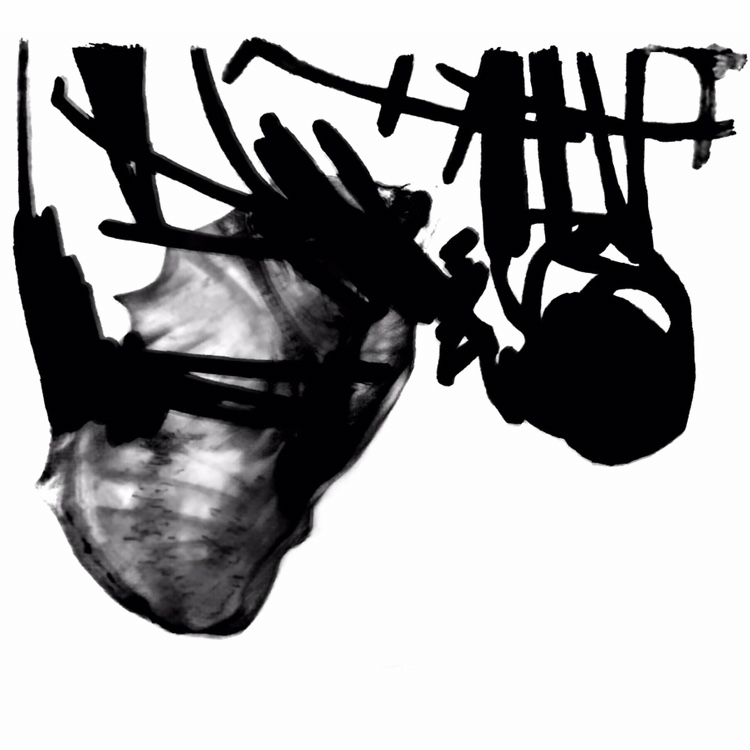Untitled (Husk), Matt Congdon, 2025