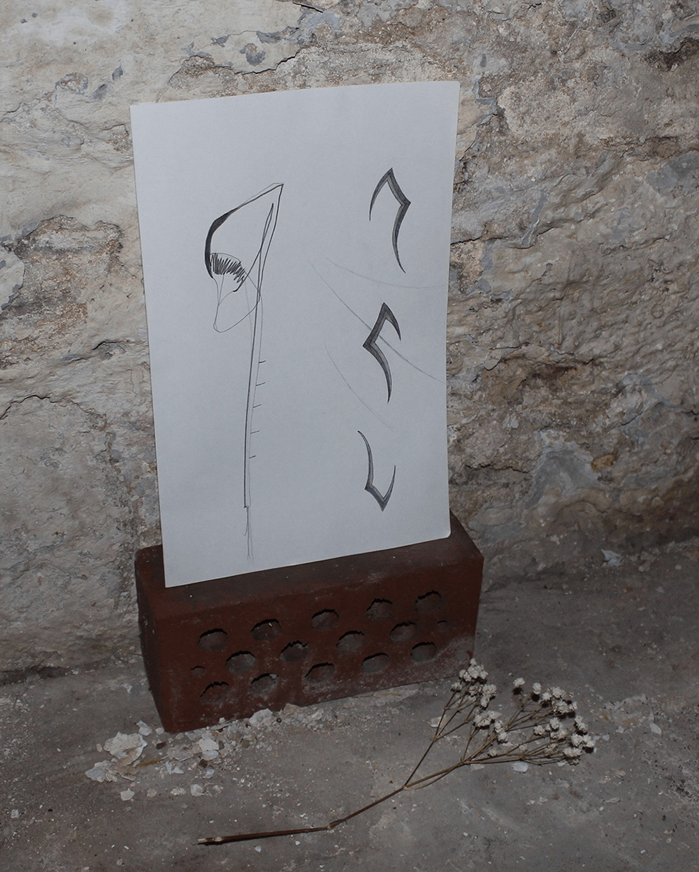 Untitled lockdown installation, Matt Congdon, 2020